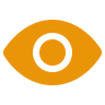 eye image