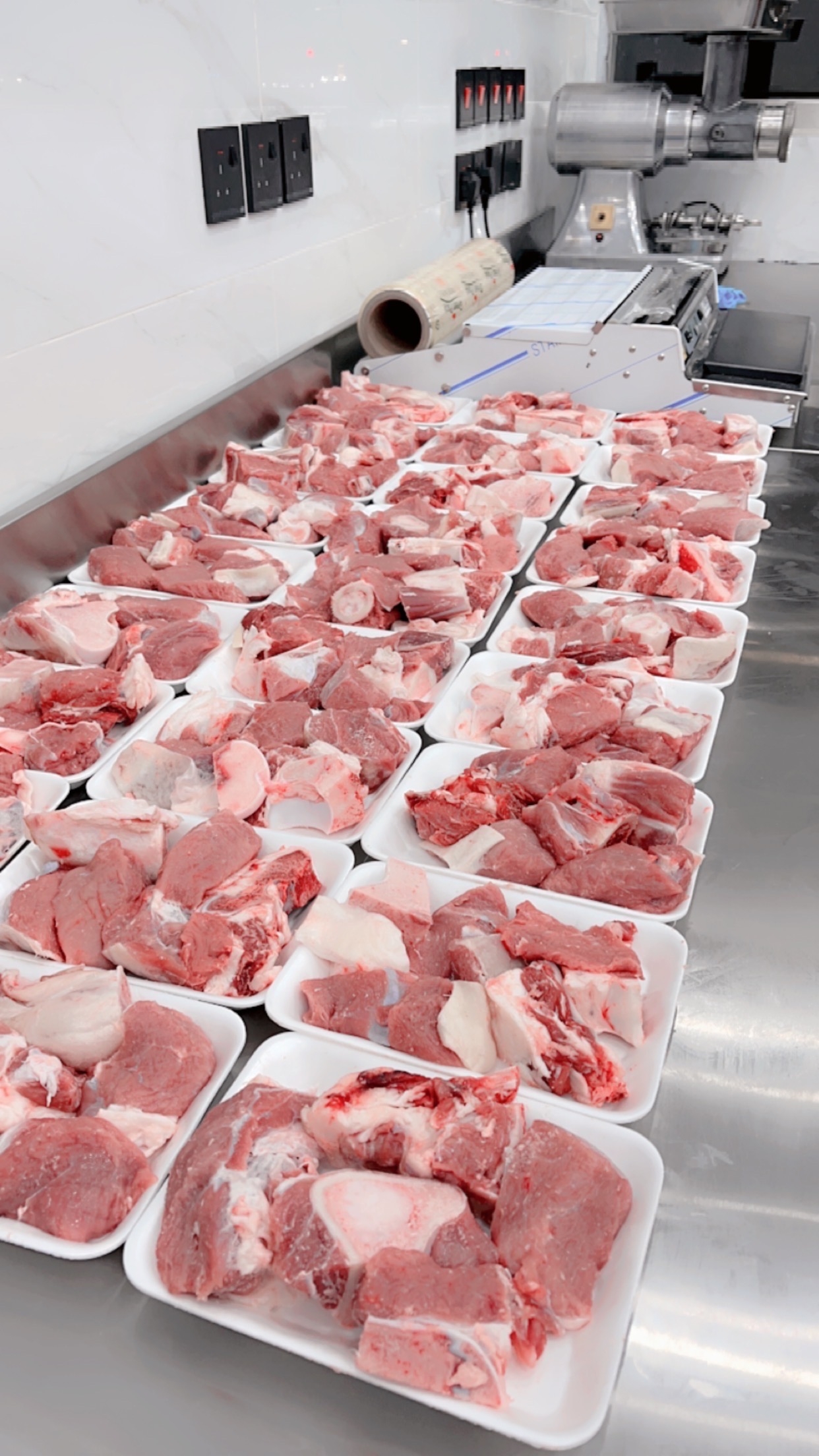 كيلو حاشي حوار