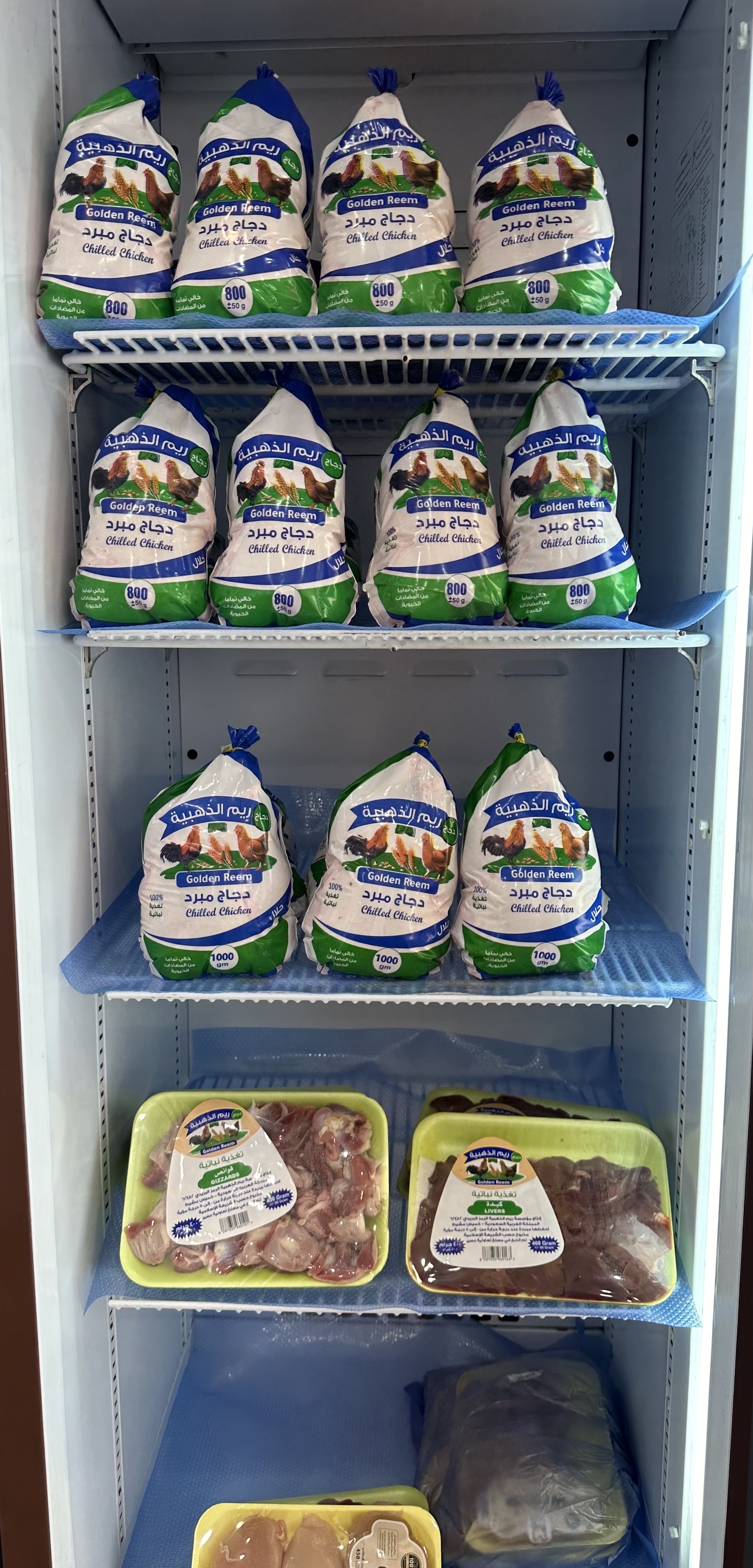 دجاج الريم الذهبيه