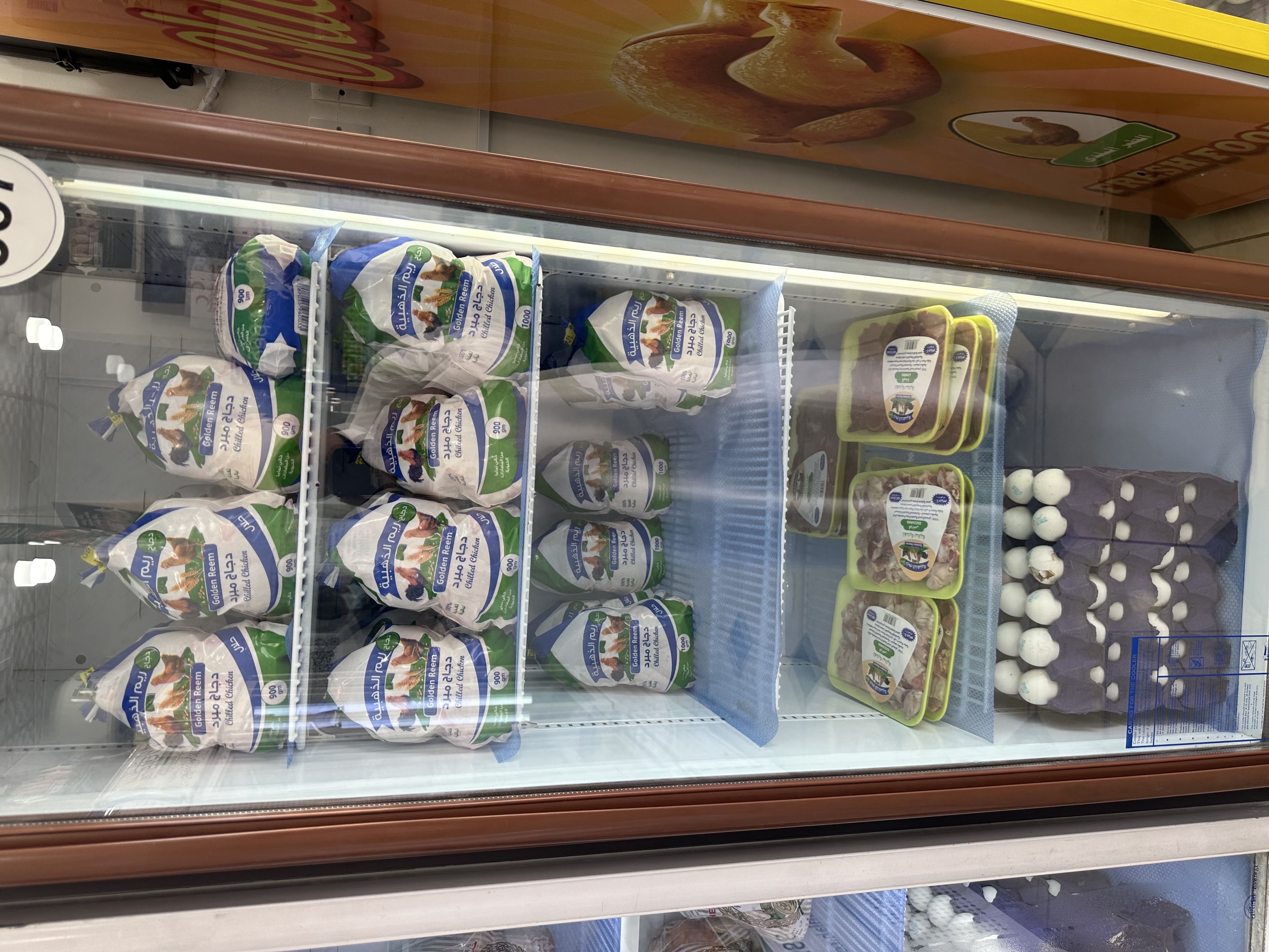 دجاج الريم الذهبيه