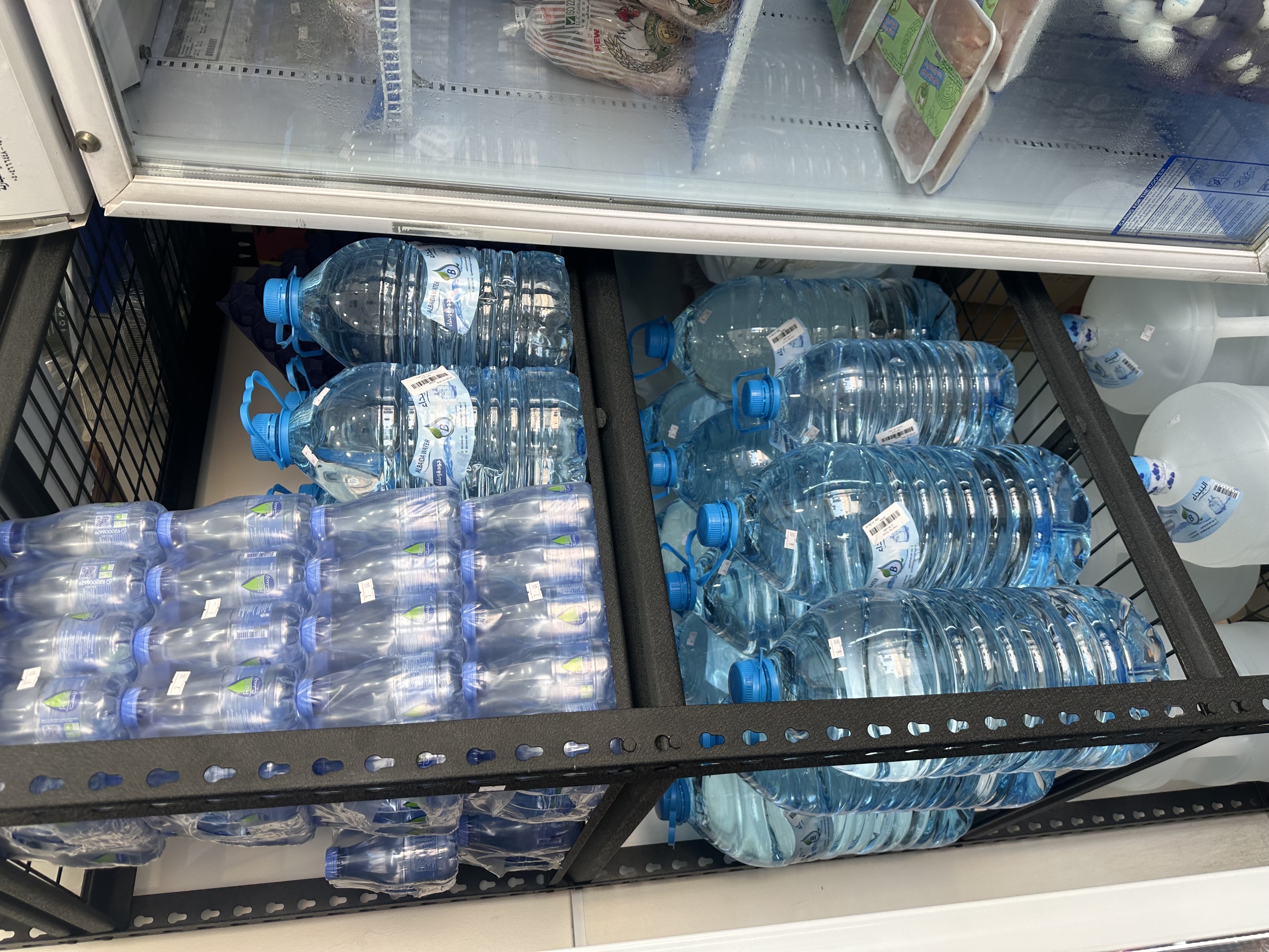 أنواع الدبان من الماء7