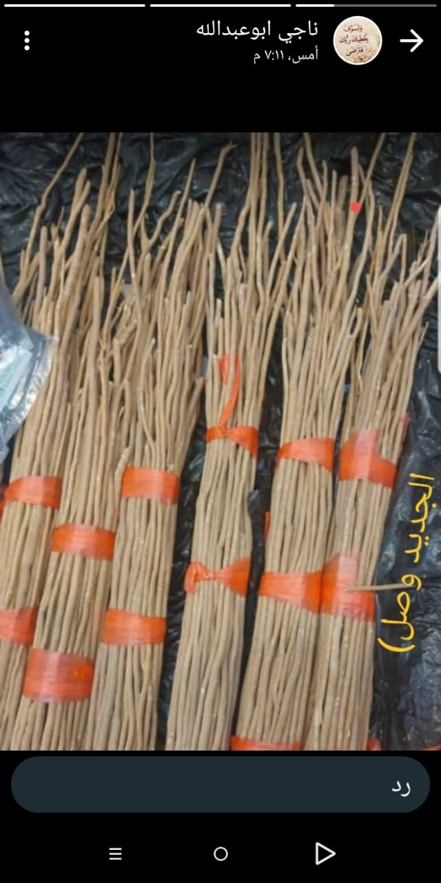 مساويك ابو حنش