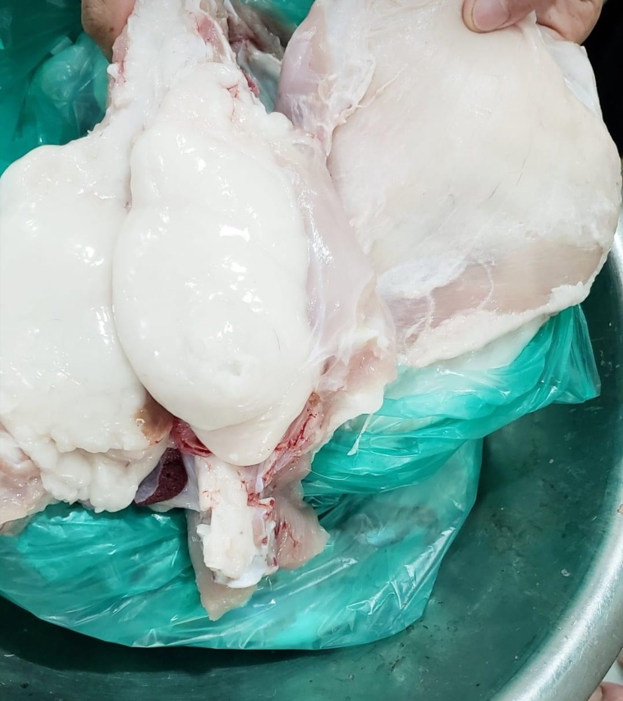 ذبيحه ني عرظ