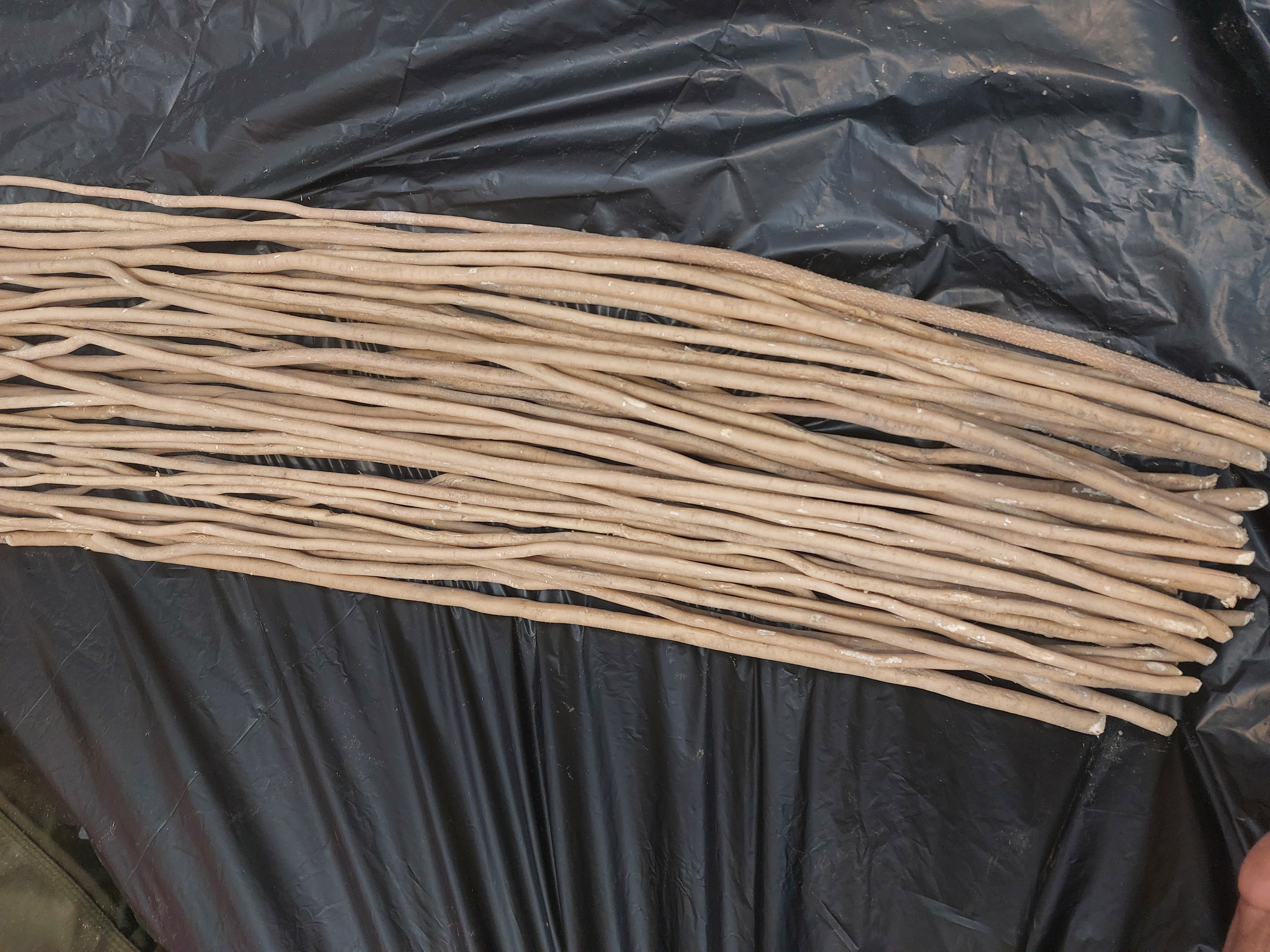 مساويك طازجه