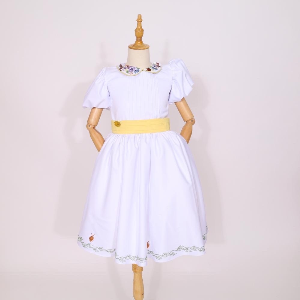 فستان بتطريز انيق على الياقة