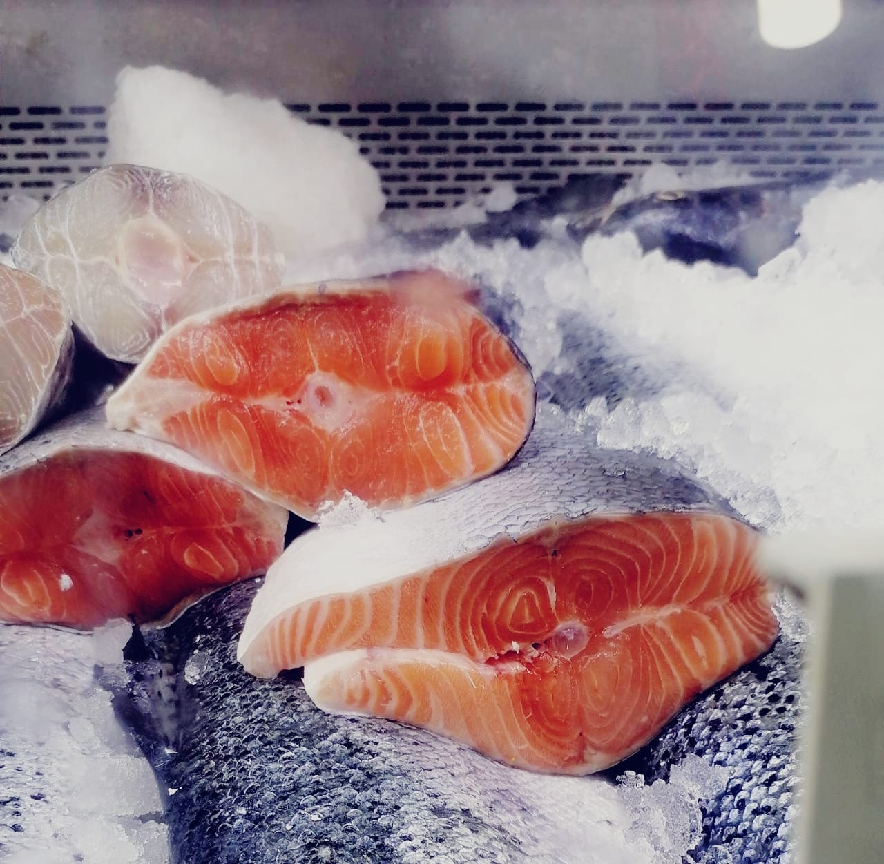 سالمون اوصال بدون رأس وقشرہ وجناح