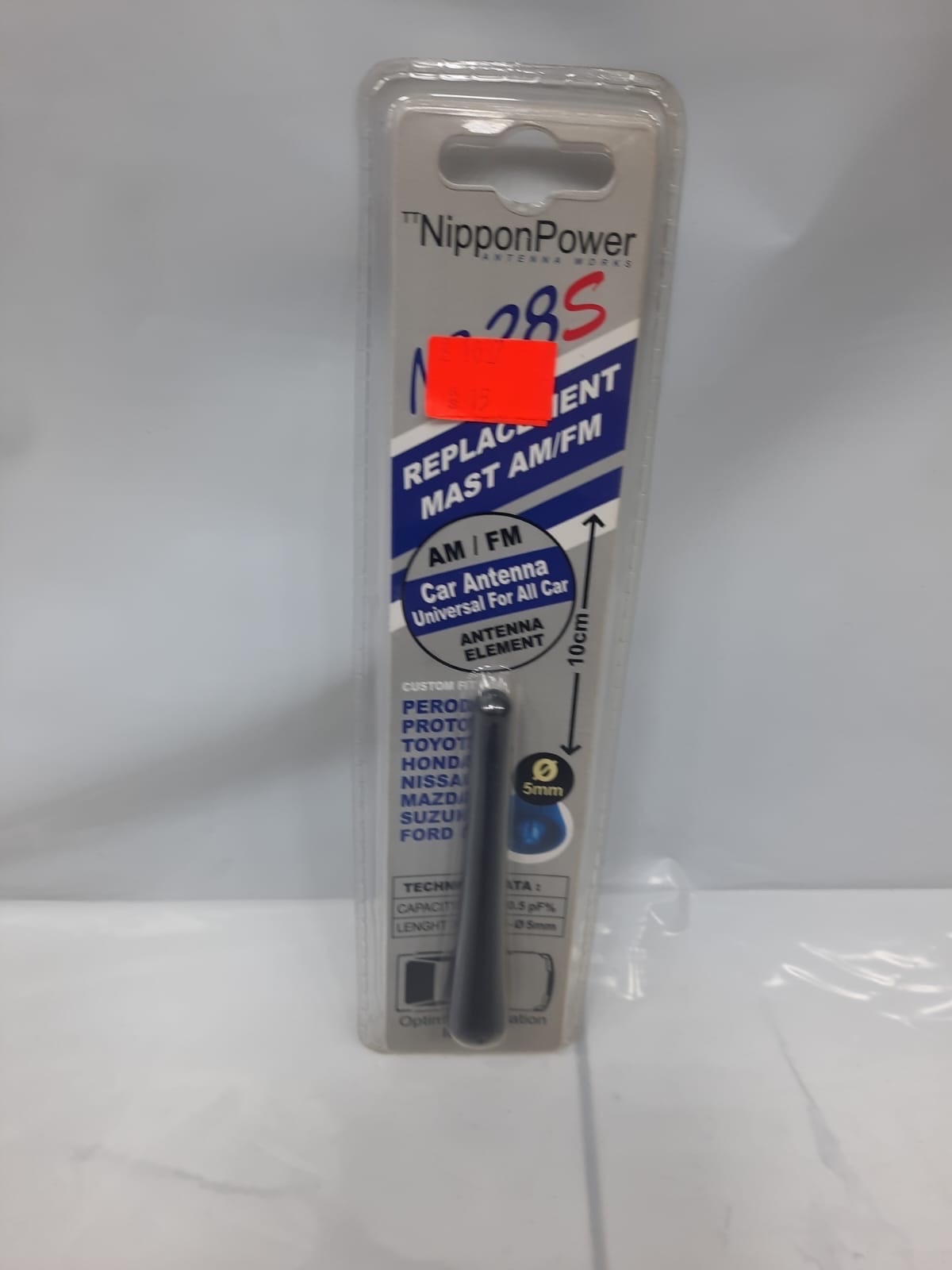 اريل ذكر صغير