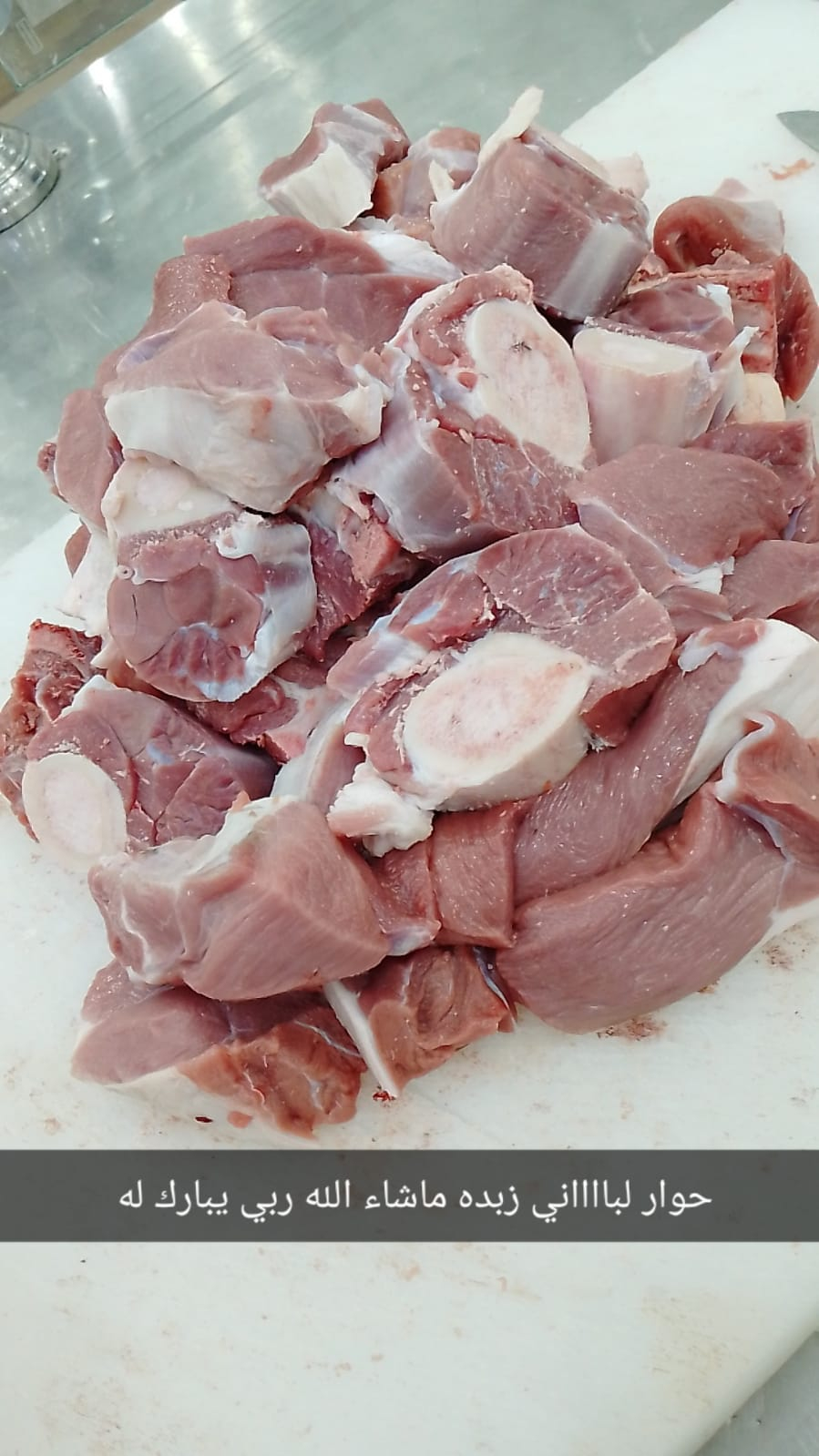 كيلو الحوار اللباني